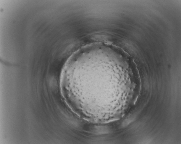 X0000062900371200601201917