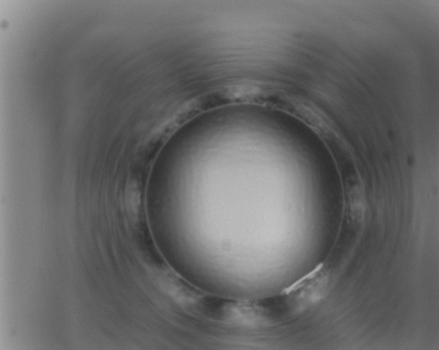 X0000062900372200601201917