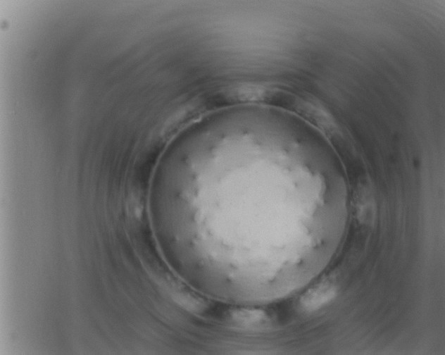 X0000062900374200601201917