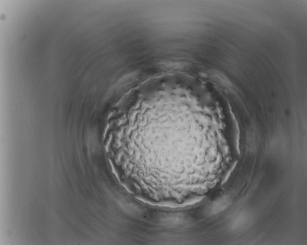 X0000062900377200601201917