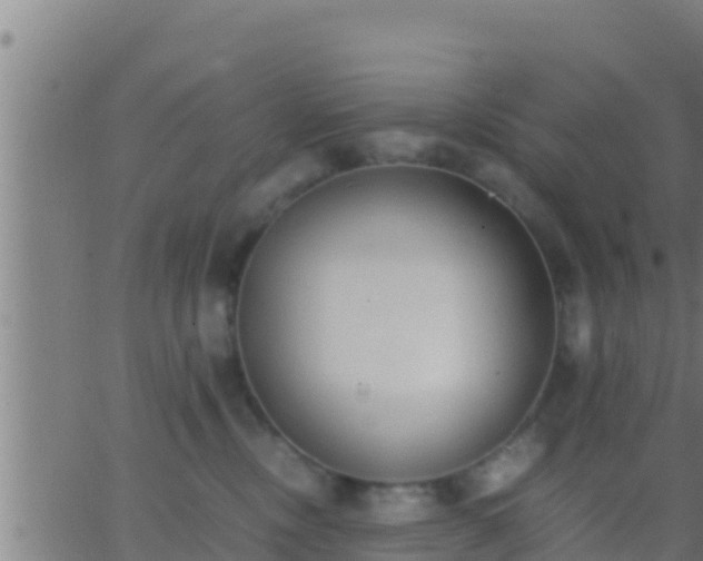 X0000062900378200601201917