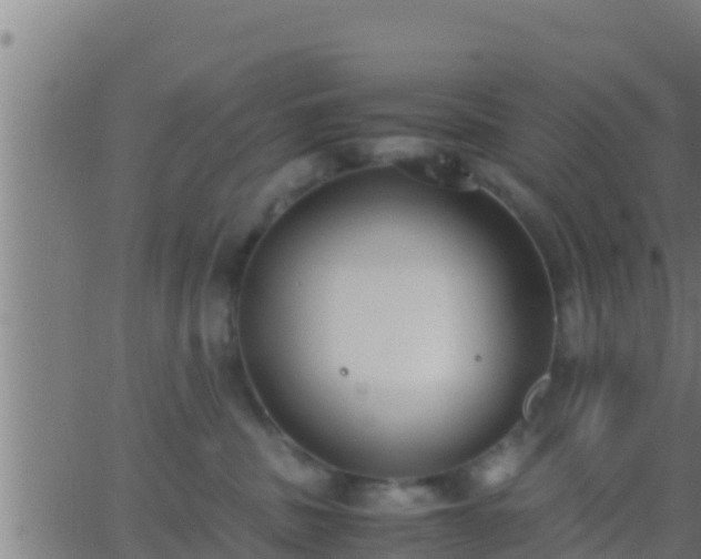 X0000062900379200601201917