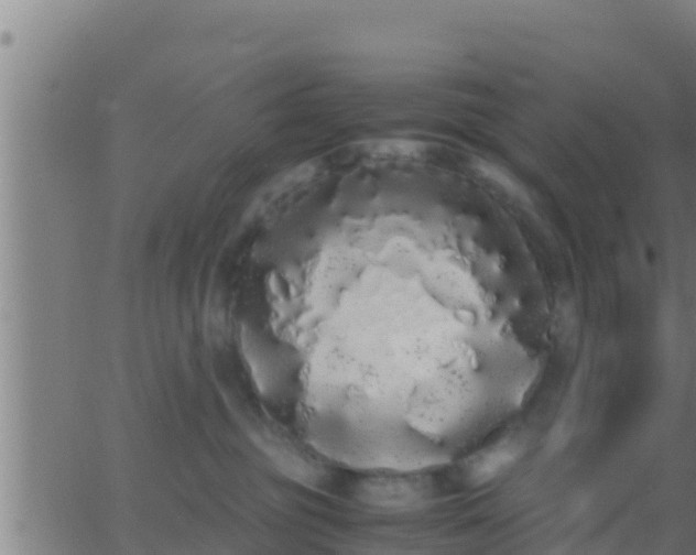 X0000062900381200601201917