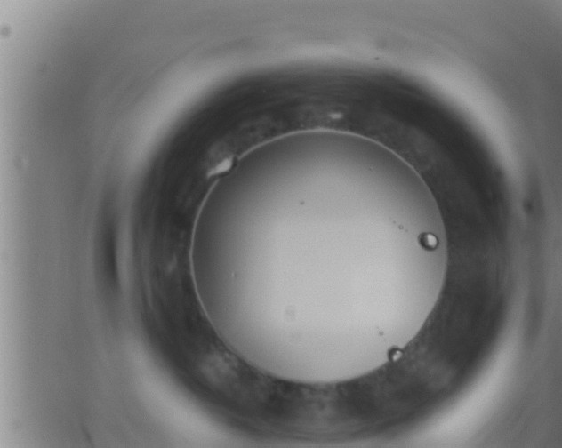 X0000062900382200601201917