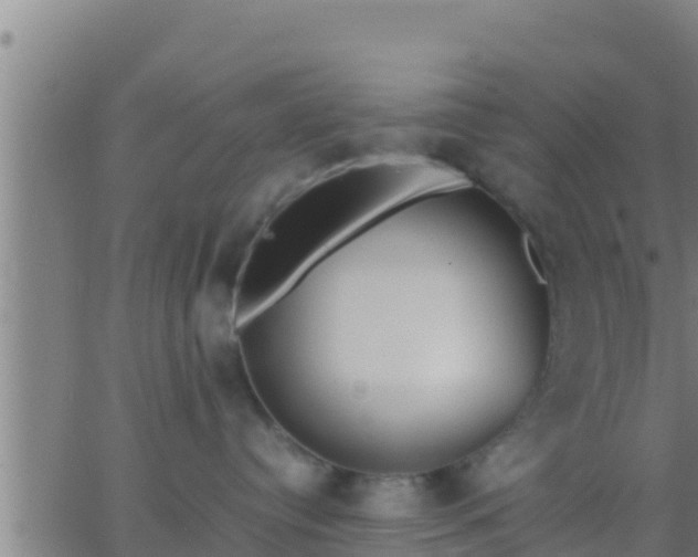 X0000062900384200601201917