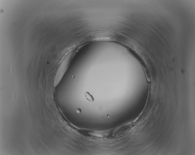 X0000062900385200601201916