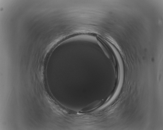 X0000062900387200601201916