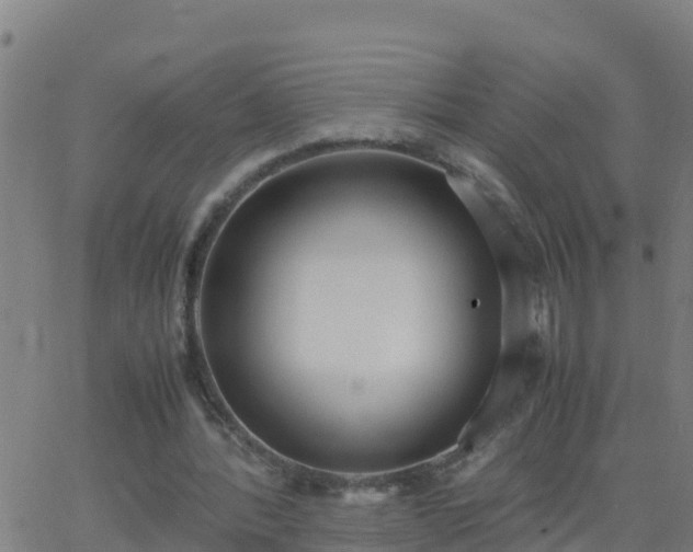 X0000062900388200601201916