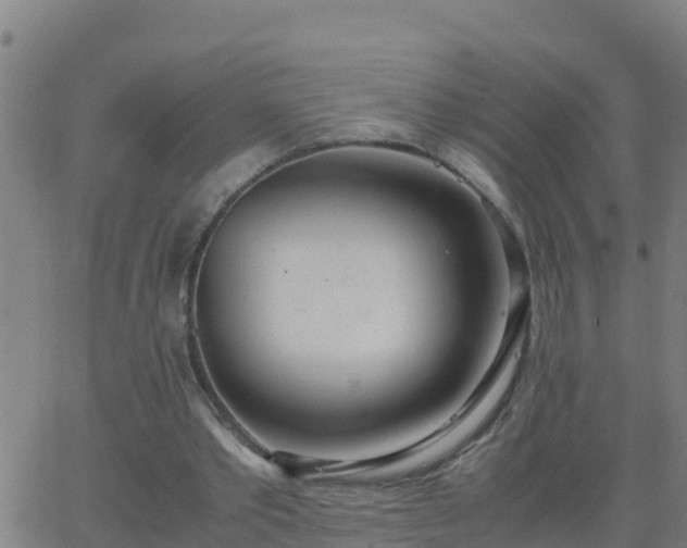 X0000062900389200601201916