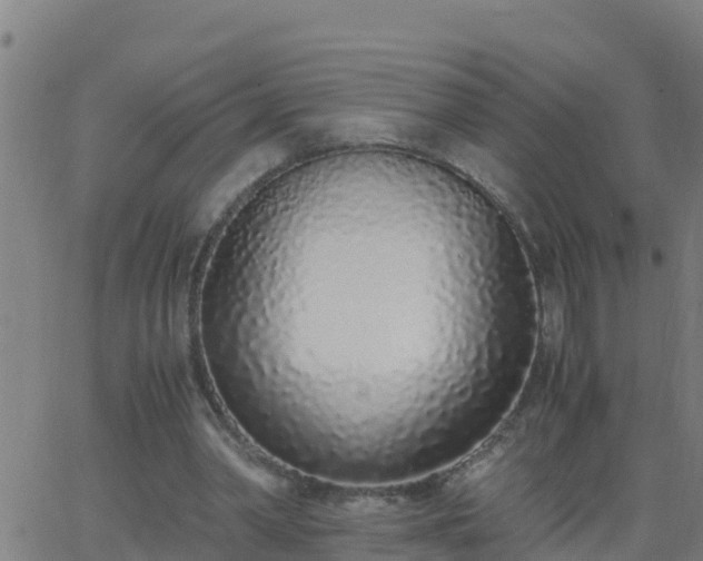 X0000062900390200601201916