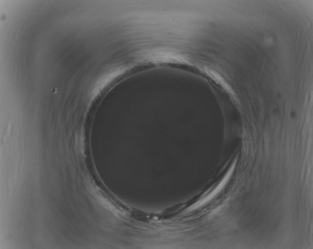 X0000062900391200601201916