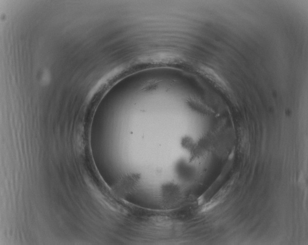 X0000062900392200601201916