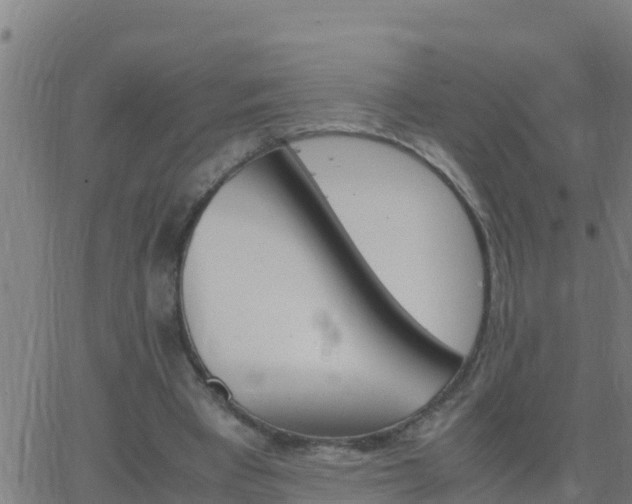 X0000062900393200601201916