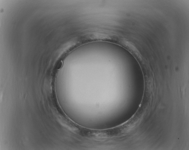 X0000062900395200601201916