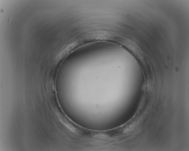 X0000062900397200601201916