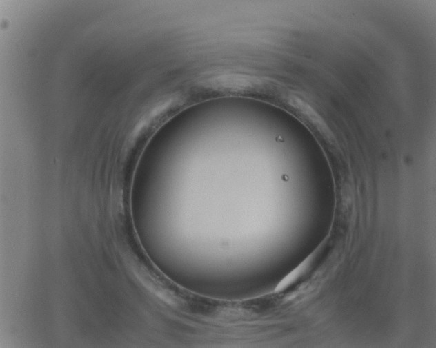 X0000062900399200601201916