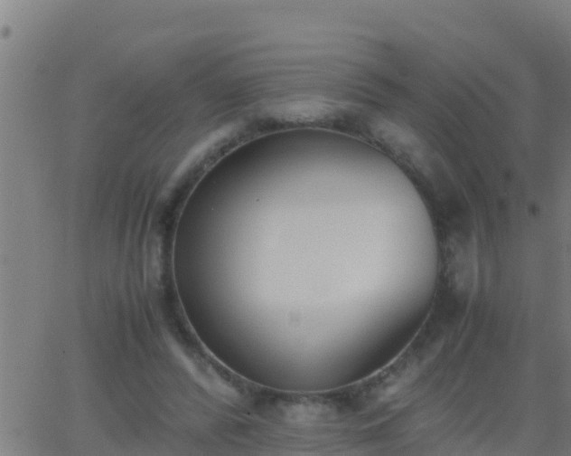 X0000062900400200601201916