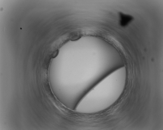 X0000062900401200601201916