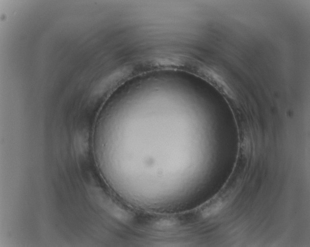 X0000062900402200601201916