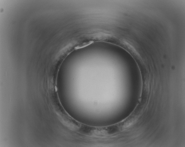 X0000062900403200601201916