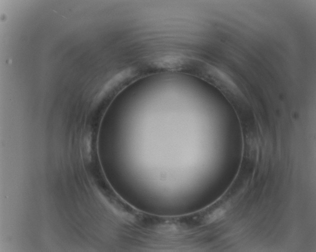 X0000062900404200601201916