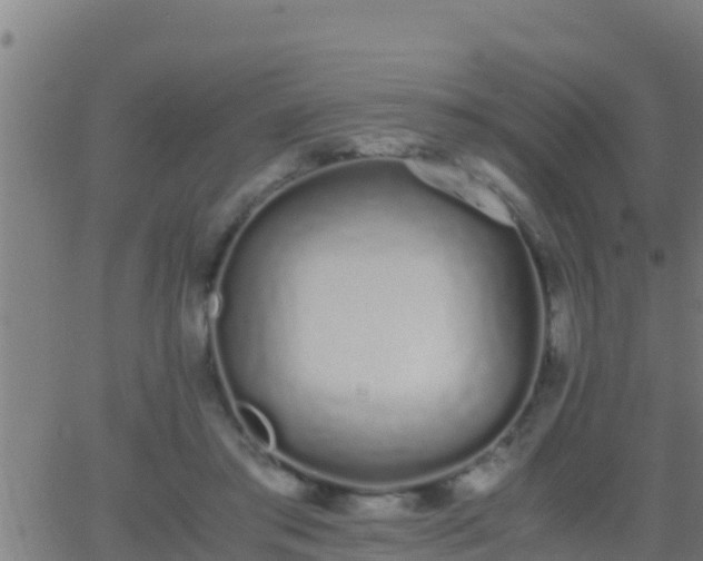 X0000062900405200601201916