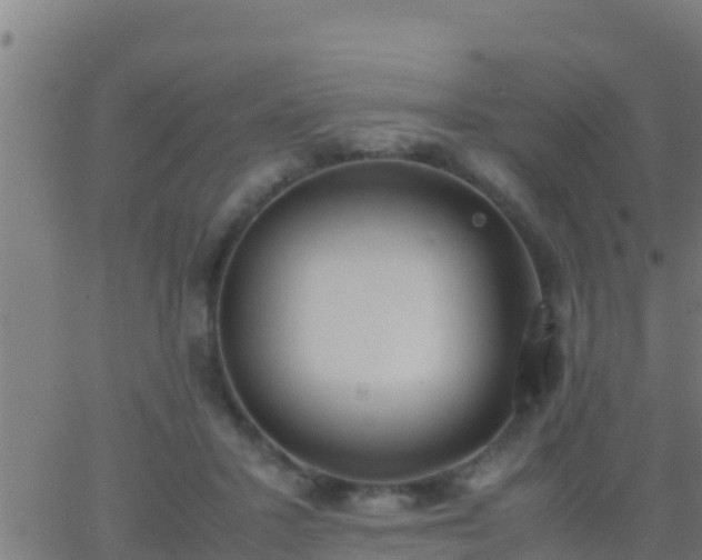 X0000062900407200601201916