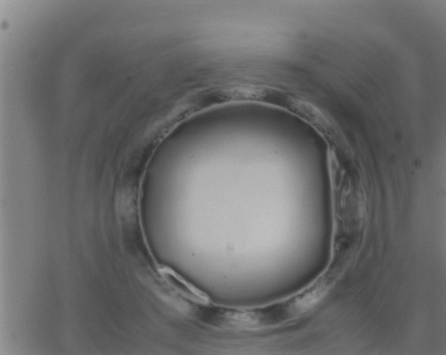 X0000062900409200601201916