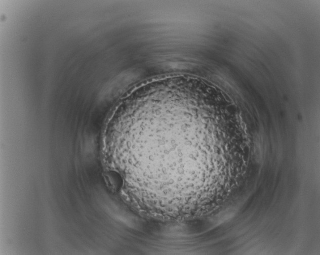 X0000062900410200601201916