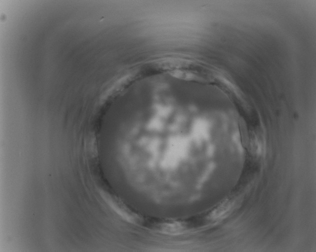 X0000062900411200601201916