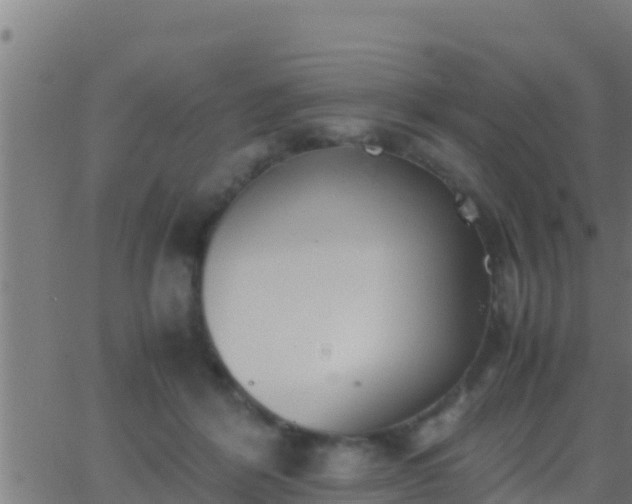 X0000062900412200601201916