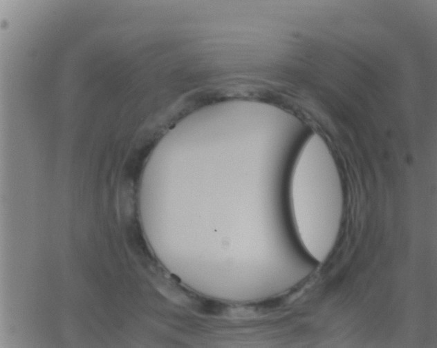 X0000062900413200601201916