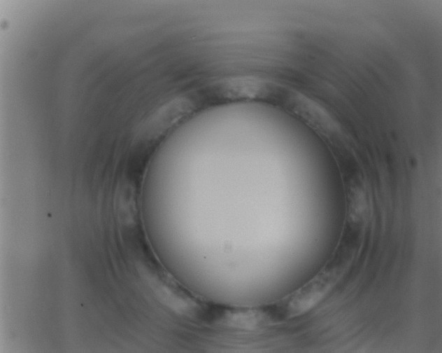 X0000062900414200601201916