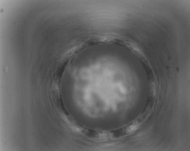 X0000062900415200601201916