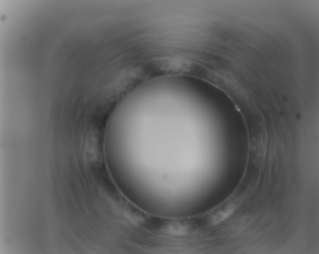 X0000062900416200601201916