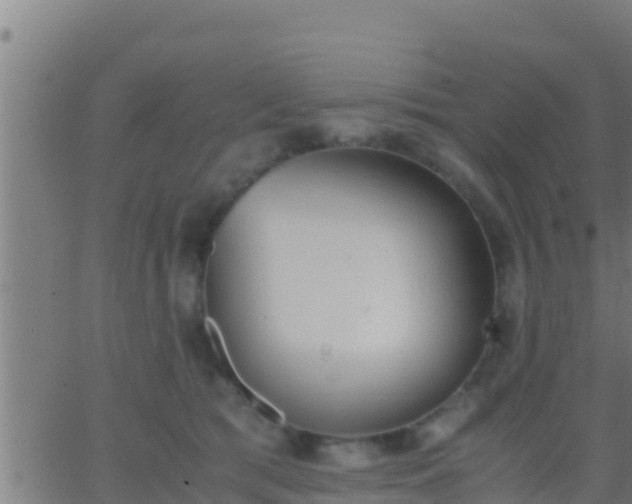 X0000062900417200601201916