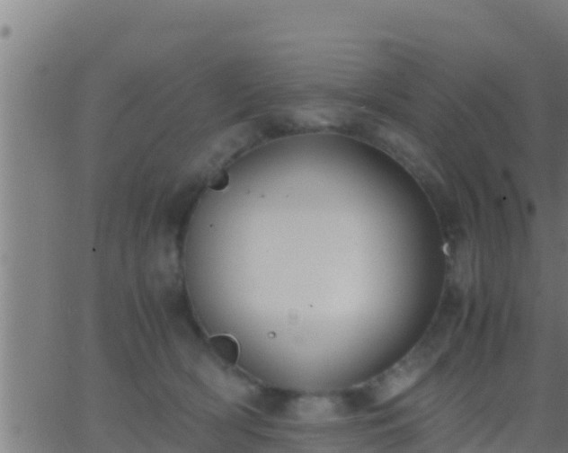 X0000062900418200601201916