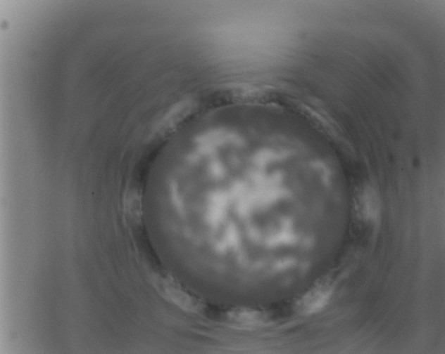 X0000062900419200601201916