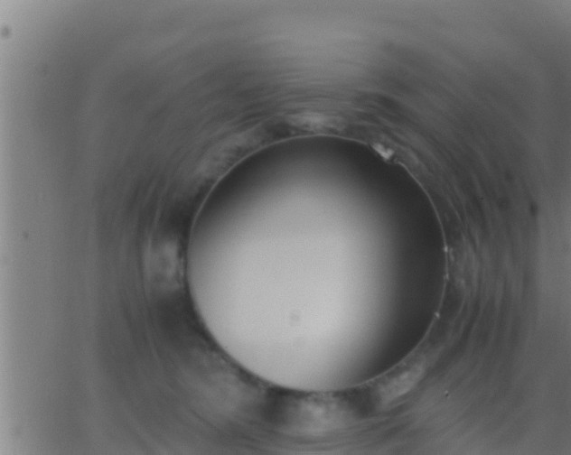 X0000062900420200601201916