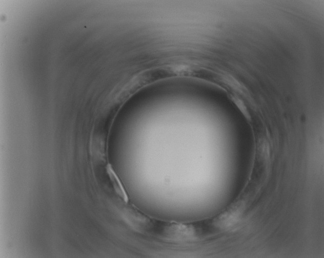 X0000062900421200601201916