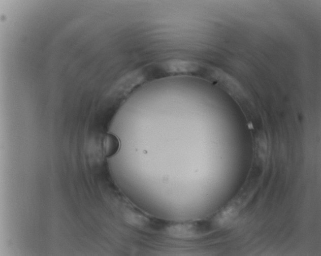 X0000062900422200601201916