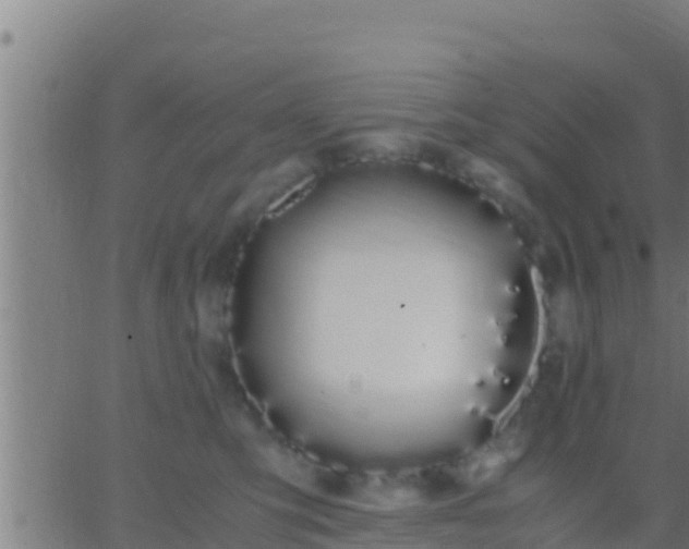 X0000062900423200601201916