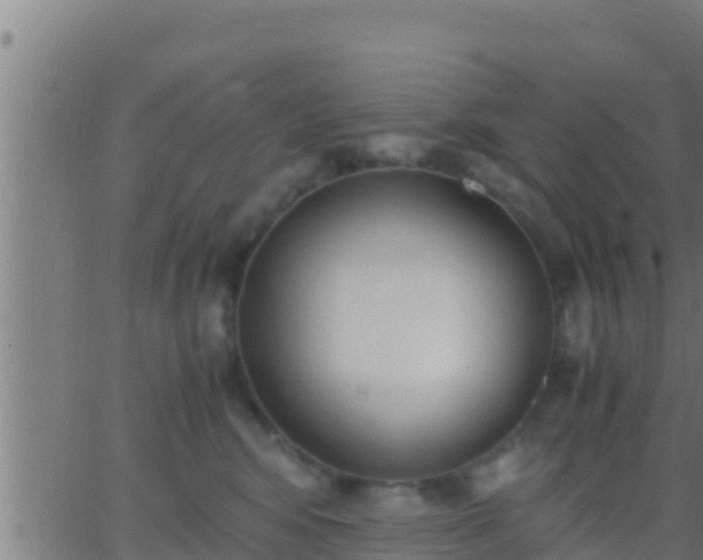 X0000062900424200601201916