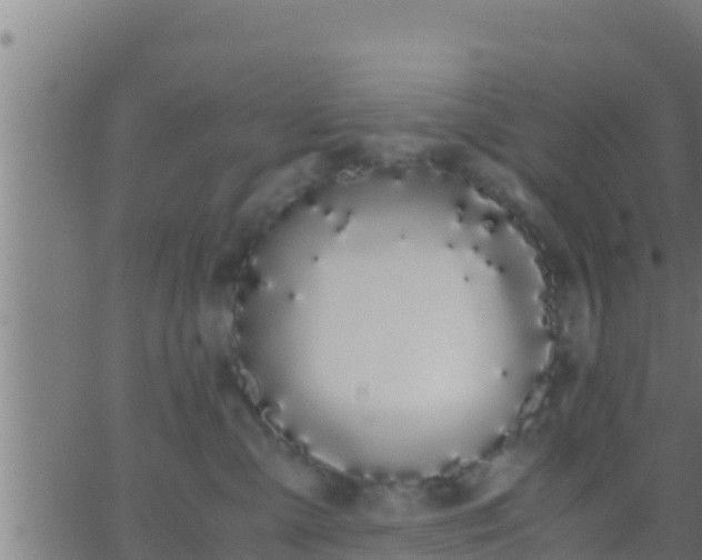 X0000062900427200601201916