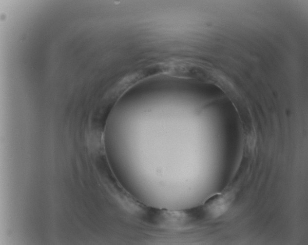 X0000062900429200601201916