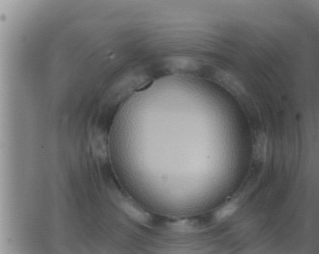 X0000062900430200601201916