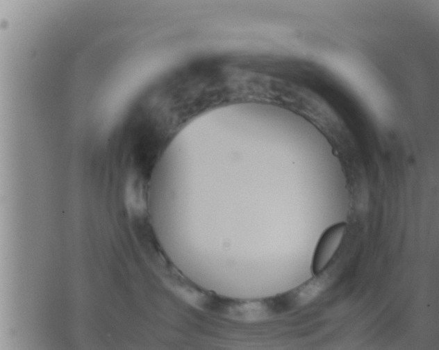 X0000062900431200601201916