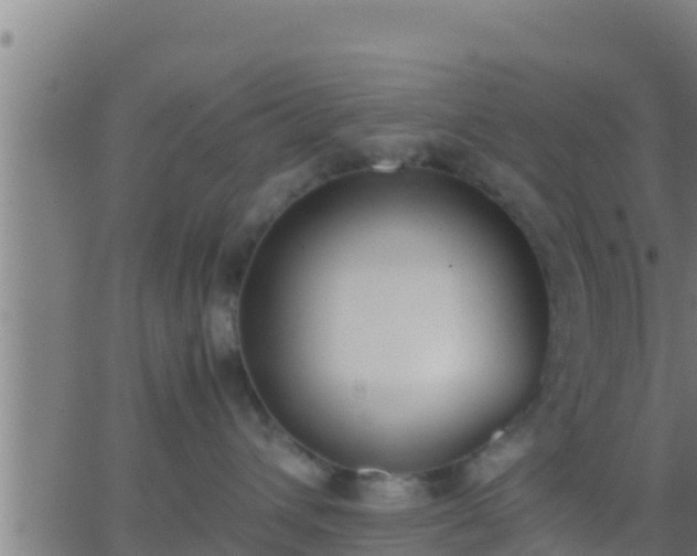 X0000062900432200601201916