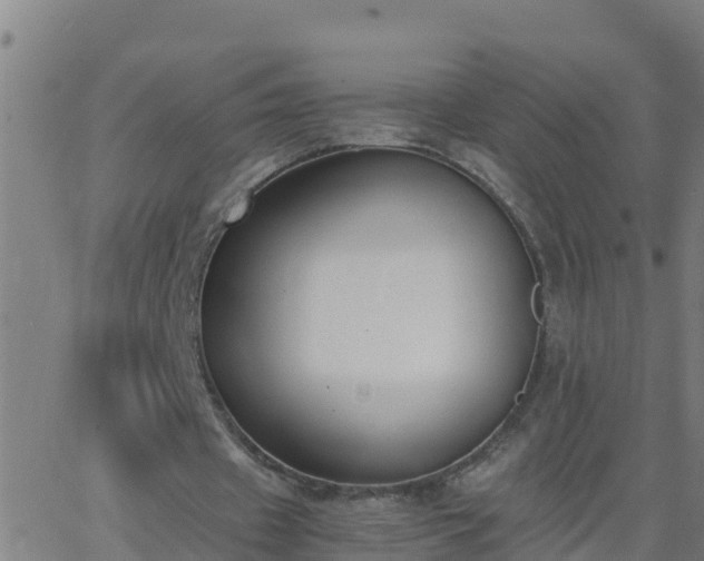 X0000062900433200601201915