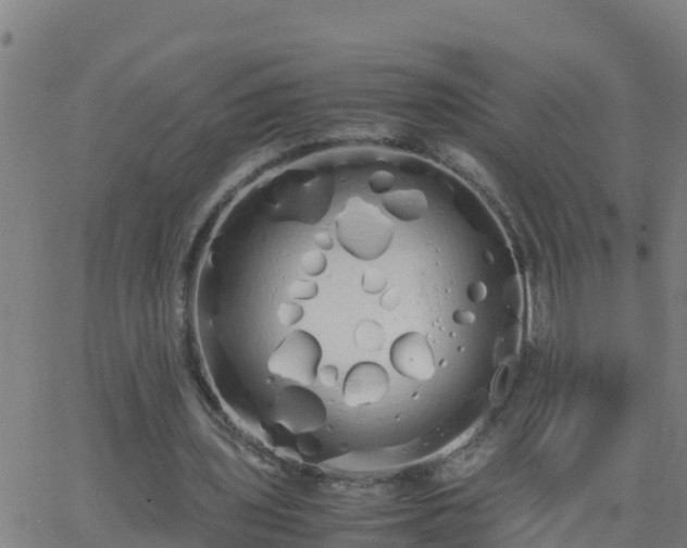 X0000062900435200601201915